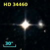 HD  34460