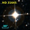HD  31645