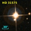 HD  31575