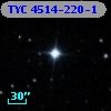 TYC 4514-220-1