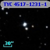 TYC 4517-1231-1