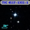TYC 4517-1355-1