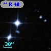 **   R    40