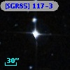 [SGR85]   117-3