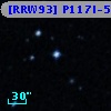 [RRW93] P117l-58