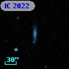 IC 2022