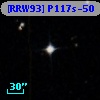 [RRW93] P117s-50