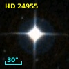 HD  24955