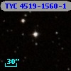 TYC 4519-1560-1
