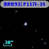 [RRW93] P117l-18