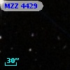 MZZ  4429