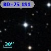 BD+75   181