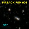 FIRBACK FSM 001