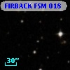 FIRBACK FSM 018