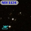 NSV  1124