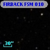 FIRBACK FSM 010