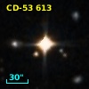 CD-53   613