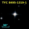 TYC 8495-1319-1