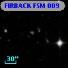FIRBACK FSM 009
