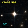 CD-53   592
