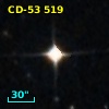 CD-53   519