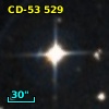 CD-53   529