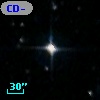 CD-53   567
