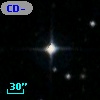 CD-53   578