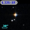 L  225-37