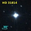 HD  31814