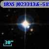 1RXS J023313.6-515619