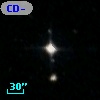 CD-44   590