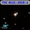 TYC 4515-1919-1