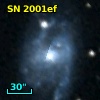 SN 2001ef