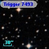 Trigger  7493