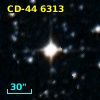 CD-44  6313