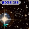 [BCC85] 238