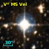 V* MS Vel