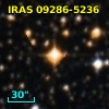 IRAS 09286-5236