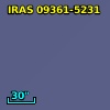 IRAS 09361-5231