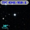 TYC 4341-950-1