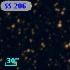 SS 206