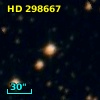 HD 298667