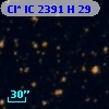 Cl* IC 2391      H      29