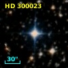 HD 300023