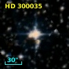 HD 300035