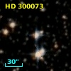HD 300073