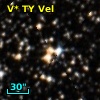 V* TY Vel
