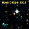 IRAS 09291-5313