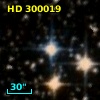 HD 300019